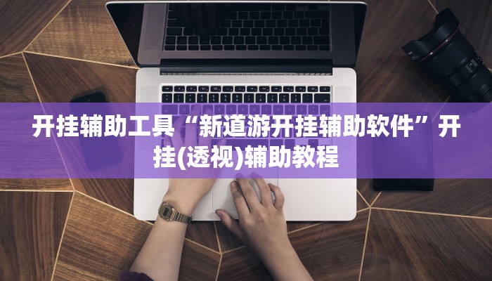 开挂辅助工具“新道游开挂辅助软件”开挂(透视)辅助教程