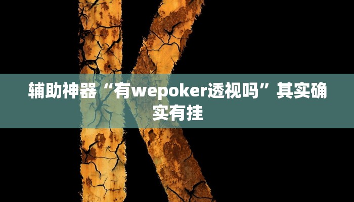 辅助神器“有wepoker透视吗”其实确实有挂