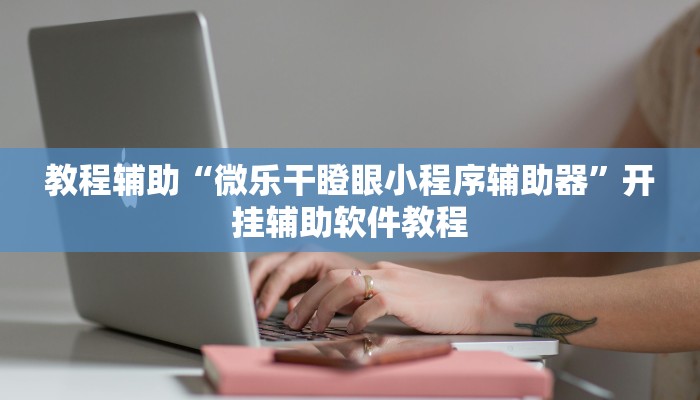 教程辅助“微乐干瞪眼小程序辅助器”开挂辅助软件教程 教程辅助“微乐干瞪眼小程序辅助器”开挂辅助软件教程