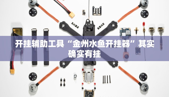 开挂辅助工具“金州水鱼开挂器”其实确实有挂 开挂辅助工具“金州水鱼开挂器”其实确实有挂