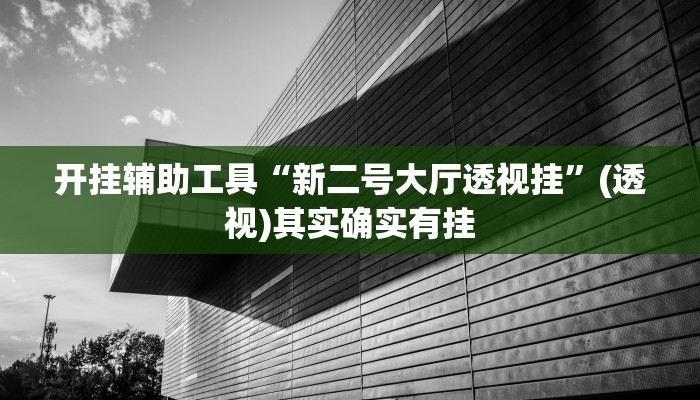 开挂辅助工具“新二号大厅透视挂”(透视)其实确实有挂