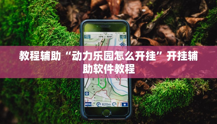 教程辅助“动力乐园怎么开挂”开挂辅助软件教程