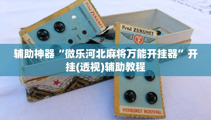 辅助神器“微乐河北麻将万能开挂器”开挂(透视)辅助教程