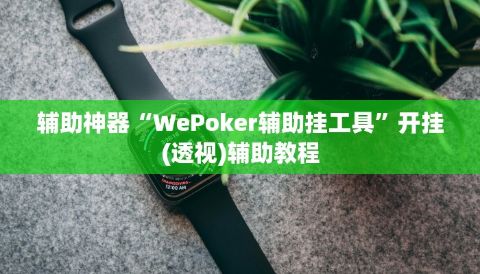 辅助神器“WePoker辅助挂工具”开挂(透视)辅助教程