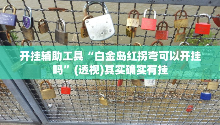 开挂辅助工具“白金岛红拐弯可以开挂吗”(透视)其实确实有挂