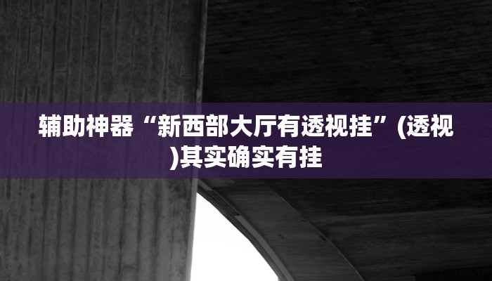 辅助神器“新西部大厅有透视挂”(透视)其实确实有挂