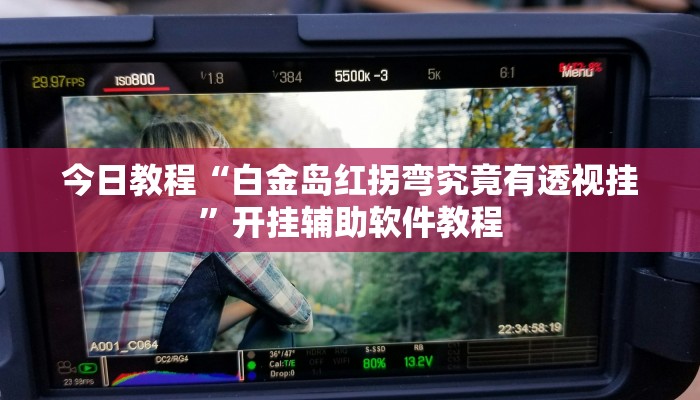 今日教程“白金岛红拐弯究竟有透视挂”开挂辅助软件教程