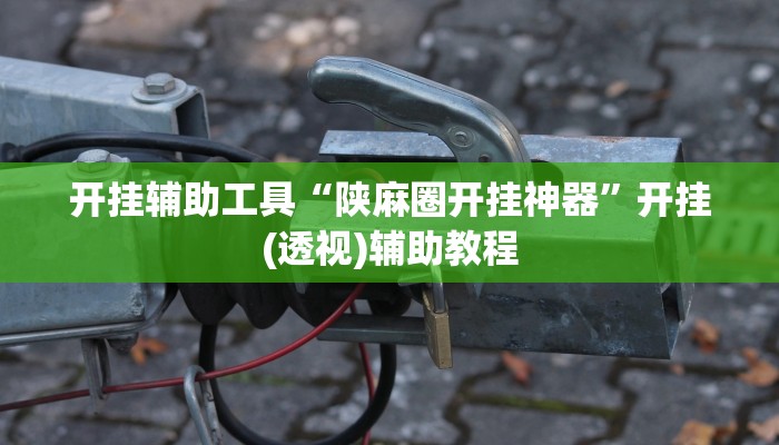 开挂辅助工具“陕麻圈开挂神器”开挂(透视)辅助教程