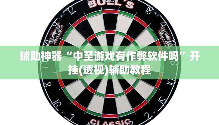 辅助神器“中至游戏有作弊软件吗”开挂(透视)辅助教程
