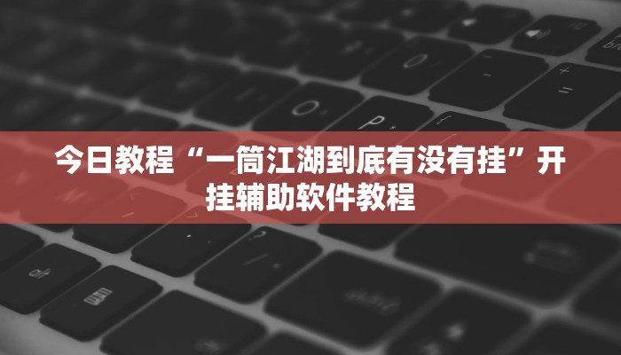 今日教程“一筒江湖到底有没有挂”开挂辅助软件教程