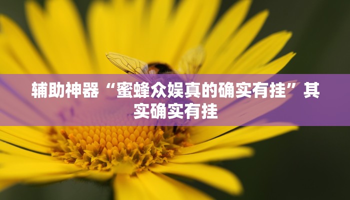 辅助神器“蜜蜂众娱真的确实有挂”其实确实有挂 辅助神器“蜜蜂众娱真的确实有挂”其实确实有挂