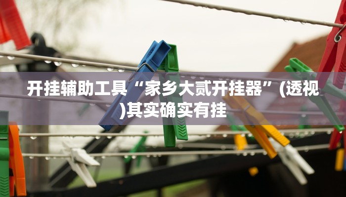 开挂辅助工具“家乡大贰开挂器”(透视)其实确实有挂 开挂辅助工具“家乡大贰开挂器”(透视)其实确实有挂