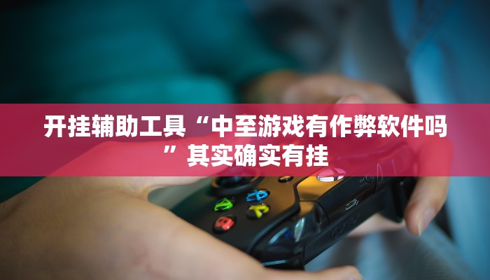 开挂辅助工具“中至游戏有作弊软件吗”其实确实有挂