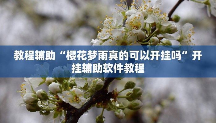 教程辅助“樱花梦雨真的可以开挂吗”开挂辅助软件教程