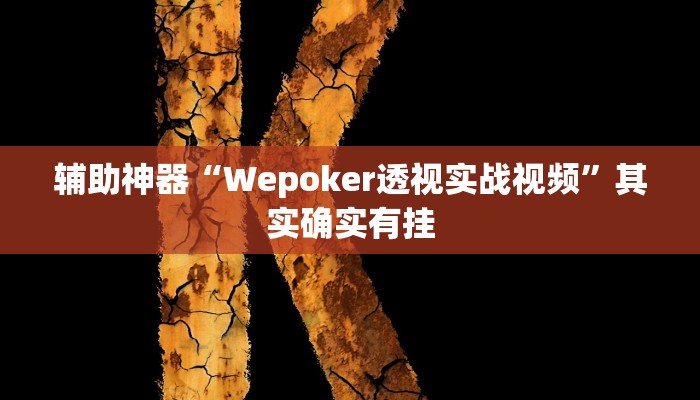 辅助神器“Wepoker透视实战视频”其实确实有挂 辅助神器“Wepoker透视实战视频”其实确实有挂