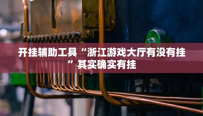 开挂辅助工具“浙江游戏大厅有没有挂”其实确实有挂