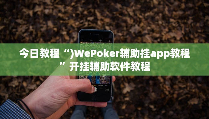 今日教程“)WePoker辅助挂app教程”开挂辅助软件教程