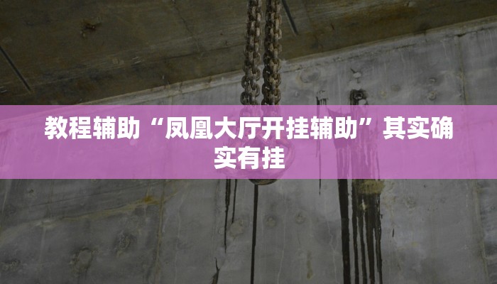 教程辅助“凤凰大厅开挂辅助”其实确实有挂 教程辅助“凤凰大厅开挂辅助”其实确实有挂