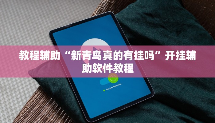 教程辅助“新青鸟真的有挂吗”开挂辅助软件教程