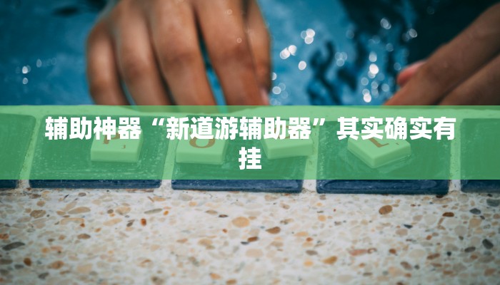 辅助神器“新道游辅助器”其实确实有挂