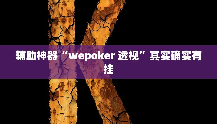 辅助神器“wepoker 透视”其实确实有挂