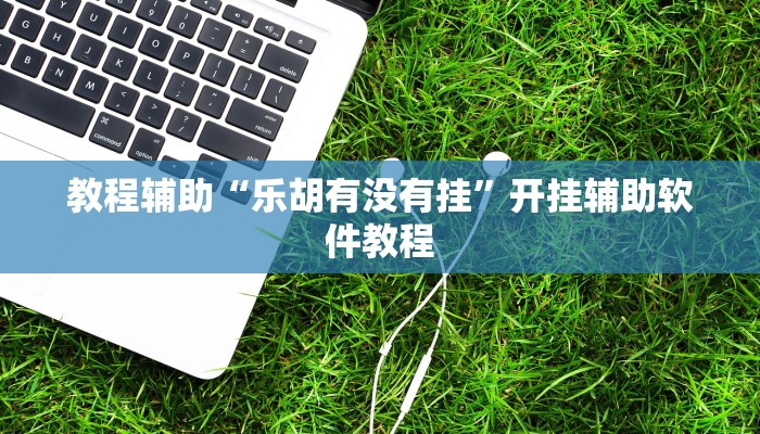 教程辅助“乐胡有没有挂”开挂辅助软件教程 教程辅助“乐胡有没有挂”开挂辅助软件教程