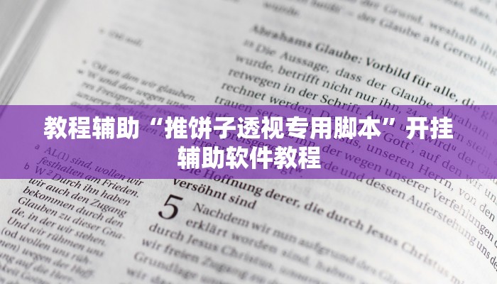 教程辅助“推饼子透视专用脚本”开挂辅助软件教程