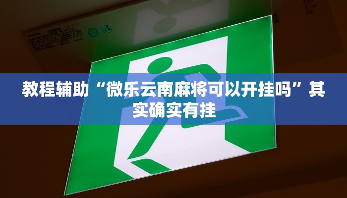 教程辅助“微乐云南麻将可以开挂吗”其实确实有挂