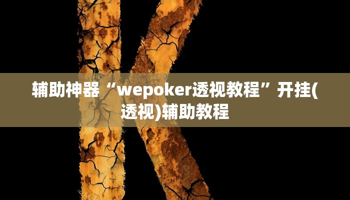 辅助神器“wepoker透视教程”开挂(透视)辅助教程