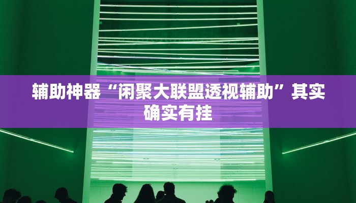 辅助神器“闲聚大联盟透视辅助”其实确实有挂