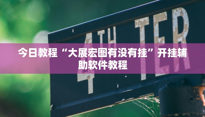 今日教程“大展宏图有没有挂”开挂辅助软件教程