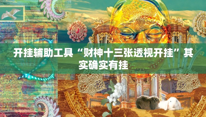 开挂辅助工具“财神十三张透视开挂”其实确实有挂