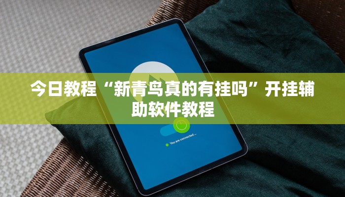 今日教程“新青鸟真的有挂吗”开挂辅助软件教程 今日教程“新青鸟真的有挂吗”开挂辅助软件教程