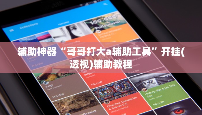 辅助神器“哥哥打大a辅助工具”开挂(透视)辅助教程 辅助神器“哥哥打大a辅助工具”开挂(透视)辅助教程