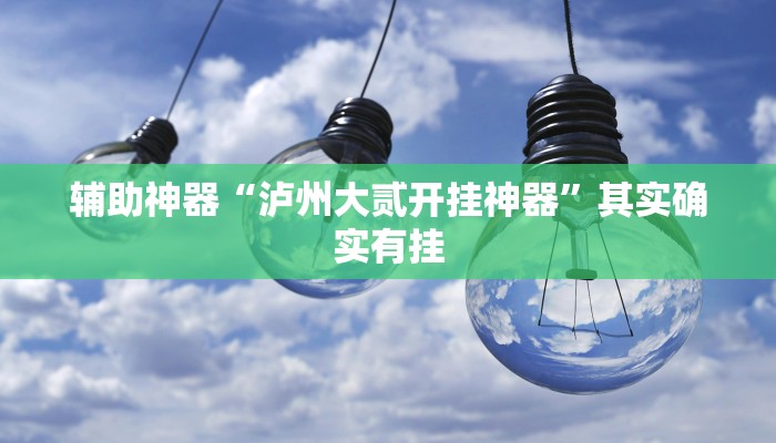 辅助神器“泸州大贰开挂神器”其实确实有挂 辅助神器“泸州大贰开挂神器”其实确实有挂
