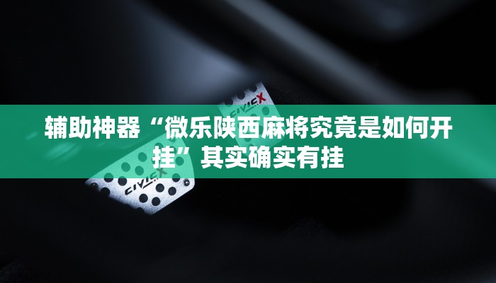教程辅助“盟友互娱有挂吗”开挂辅助软件教程