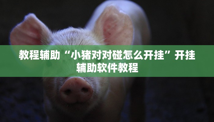 教程辅助“小猪对对碰怎么开挂”开挂辅助软件教程