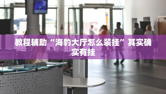 教程辅助“海豹大厅怎么装挂”其实确实有挂