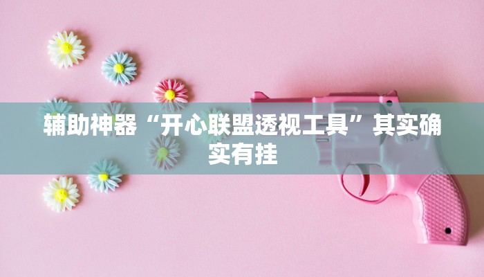 辅助神器“开心联盟透视工具”其实确实有挂