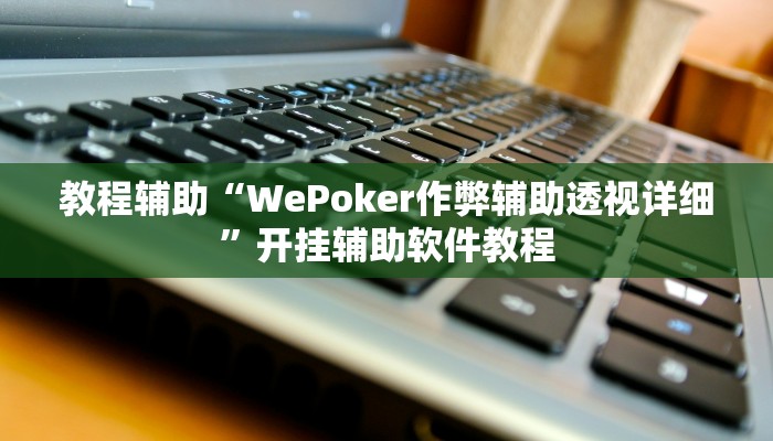 教程辅助“WePoker作弊辅助透视详细”开挂辅助软件教程