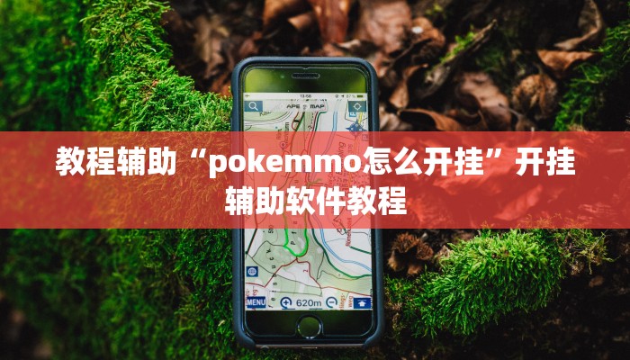 教程辅助“pokemmo怎么开挂”开挂辅助软件教程 教程辅助“pokemmo怎么开挂”开挂辅助软件教程
