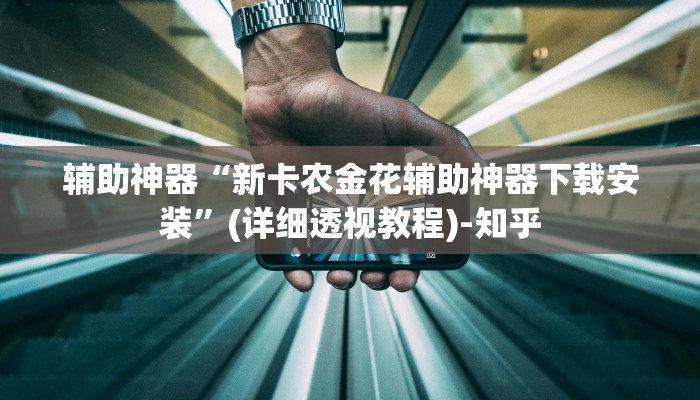 辅助神器“新卡农金花辅助神器下载安装”(详细透视教程)-知乎