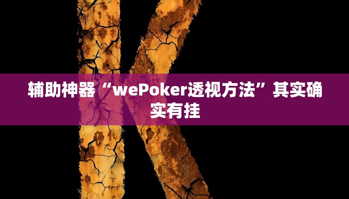 辅助神器“wePoker透视方法”其实确实有挂