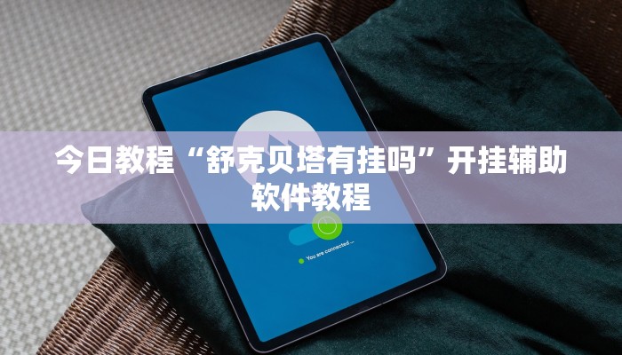 今日教程“舒克贝塔有挂吗”开挂辅助软件教程