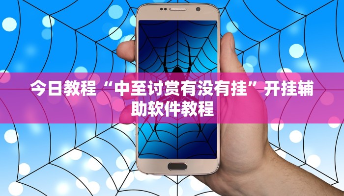 今日教程“中至讨赏有没有挂”开挂辅助软件教程 今日教程“中至讨赏有没有挂”开挂辅助软件教程