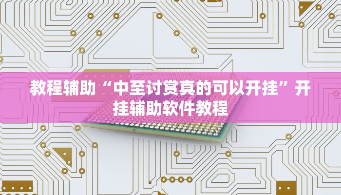 教程辅助“中至讨赏真的可以开挂”开挂辅助软件教程 教程辅助“中至讨赏真的可以开挂”开挂辅助软件教程