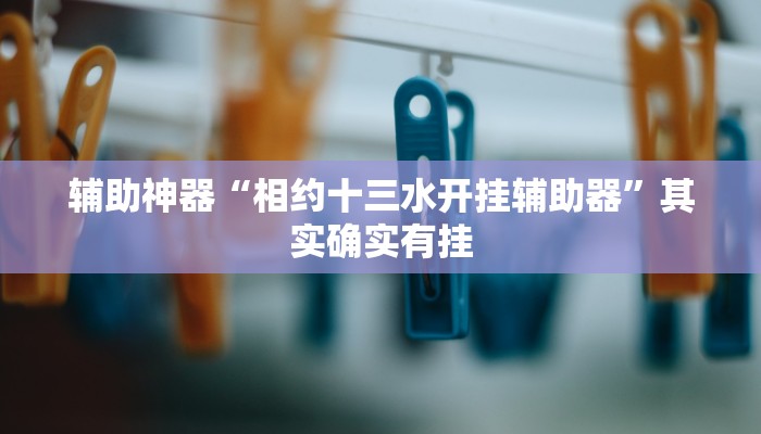 辅助神器“相约十三水开挂辅助器”其实确实有挂