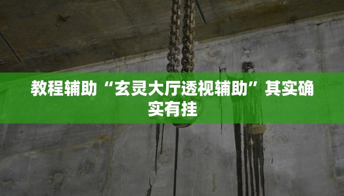教程辅助“玄灵大厅透视辅助”其实确实有挂