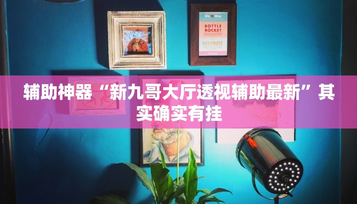 辅助神器“新九哥大厅透视辅助最新”其实确实有挂