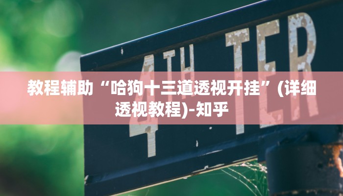 教程辅助“哈狗十三道透视开挂”(详细透视教程)-知乎 教程辅助“哈狗十三道透视开挂”(详细透视教程)-知乎